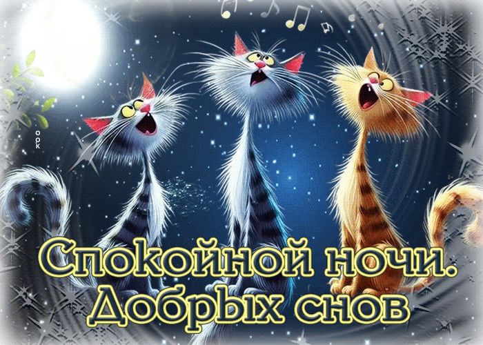 Спокойной ночи. Добрых снов