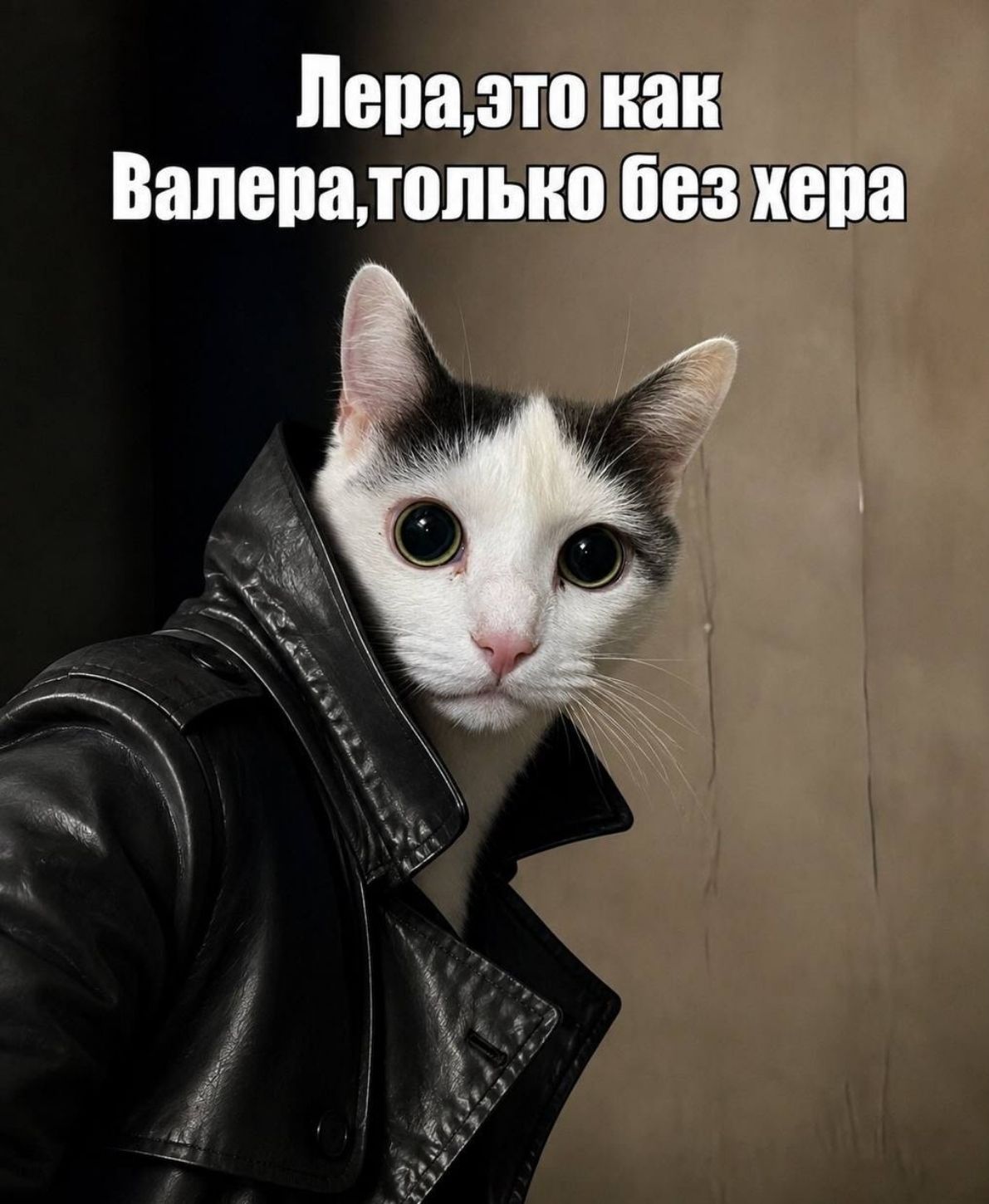 Лера, это как Валера, только без хера