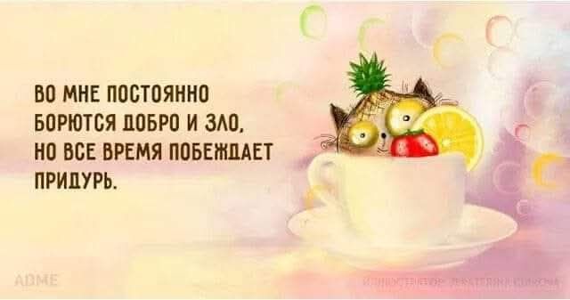 ВО МНЕ ПОСТОЯННО БОРЮТСЯ ДОБРО И ЗЛО, НО ВСЕ ВРЕМЯ ПОБЕЖДАЕТ ПРИДУРЬ.