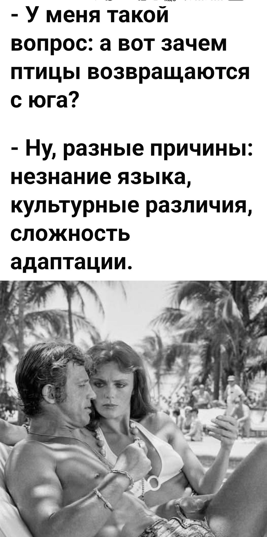 У меня такой вопрос: а вот зачем птицы возвращаются с юга? Ну, разные причины: незнание языка, культурные различия, сложность адаптации.