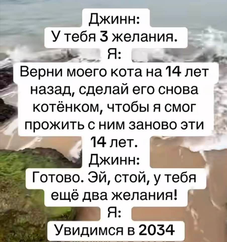 Джинн: У тебя 3 желания. Я: Верни моего кота на 14 лет назад, сделай его снова котёнком, чтобы я смог прожить с ним заново эти 14 лет. Джинн: Готово. Эй, стой, у тебя ещё два желания! Я: Увидимся в 2034.