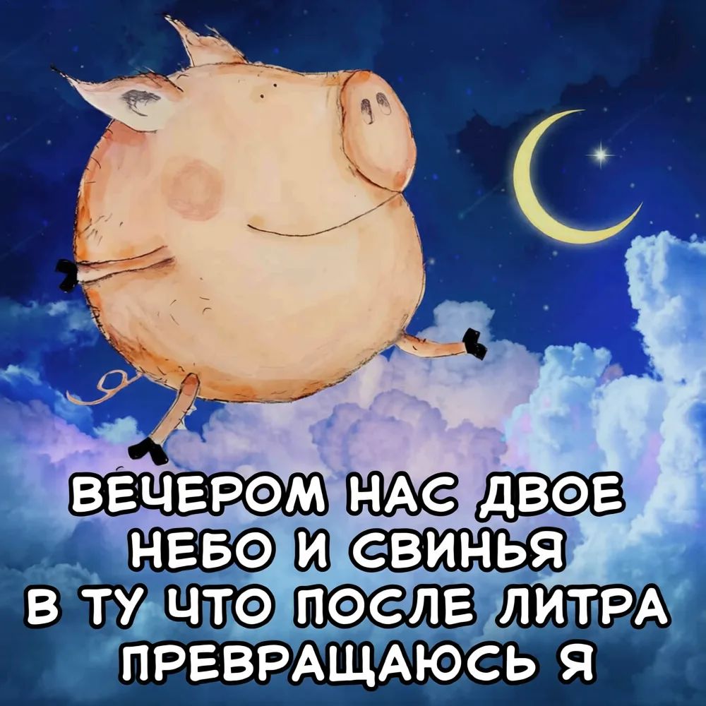 ВЕЧЕРОМ НАС ДВОЕ НЕБО И СВИНЬЯ В ТУ ЧТО ПОСЛЕ ЛИТРА ПРЕВРАЩАЮСЬ Я