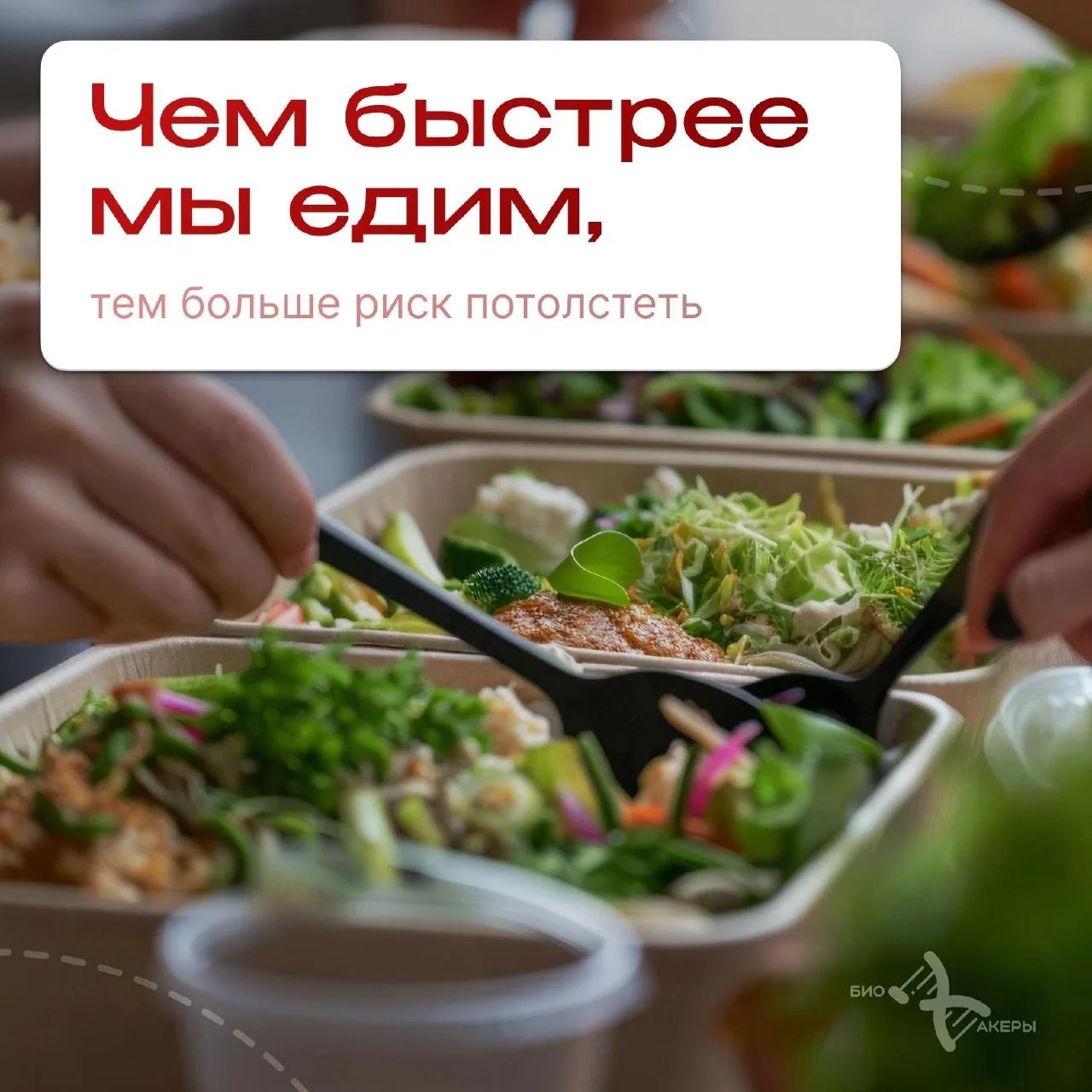 Чем быстрее мы едим, тем больше риск потолстеть