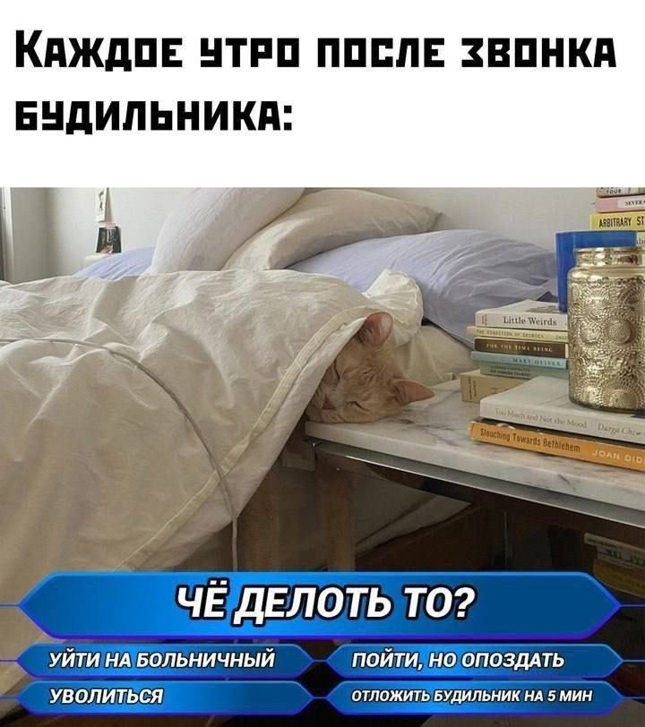 КАЖДОЕ УТРО ПОСЛЕ ЗВОНКА БУДИЛЬНИКА: ЧЁ ДЕЛАТЬ ТО? УЙТИ НА БОЛЬНИЧНЫЙ ПОЙТИ, НО ОПОЗДАТЬ УВОЛИТЬСЯ ОТЛОЖИТЬ БУДИЛЬНИК НА 5 МИН