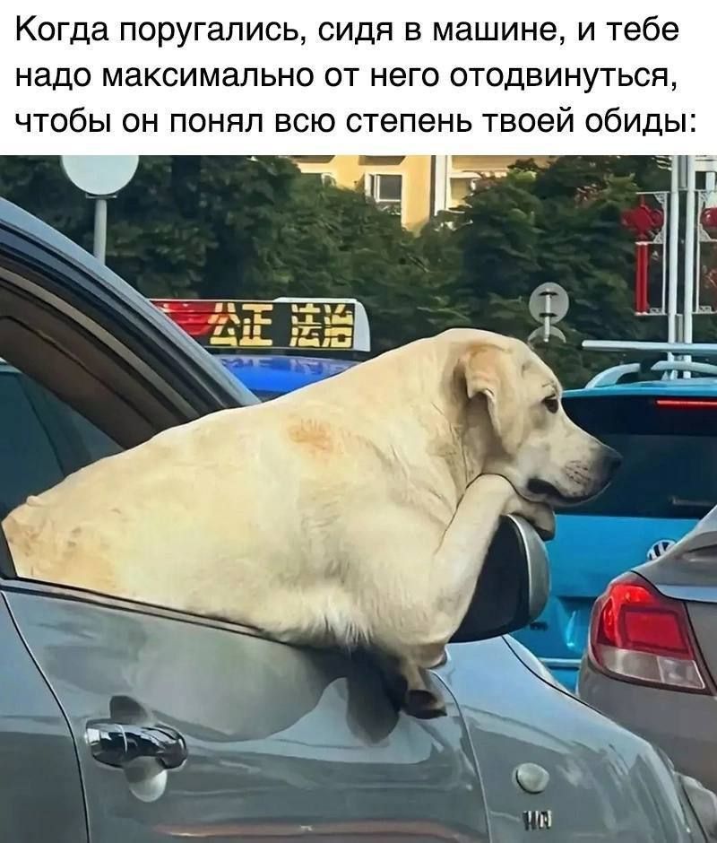 Когда поругались, сидя в машине, и тебе надо максимально от него отодвинуться, чтобы он понял всю степень твоей обиды: