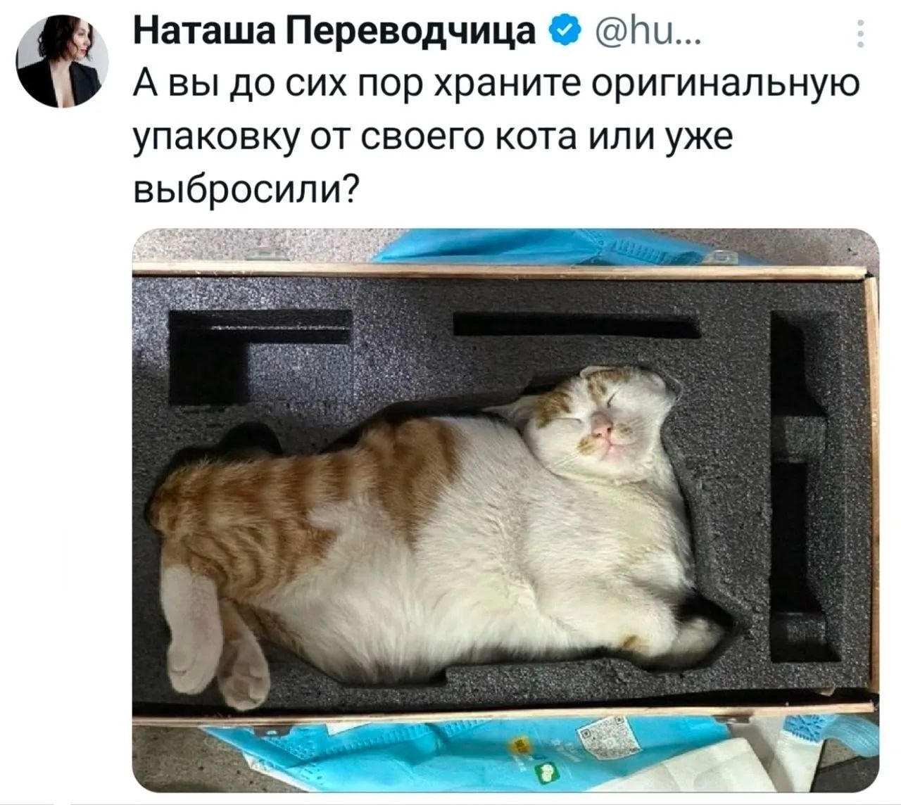 Наташа Переводчица @hu... А вы до сих пор храните оригинальную упаковку от своего кота или уже выбросили?