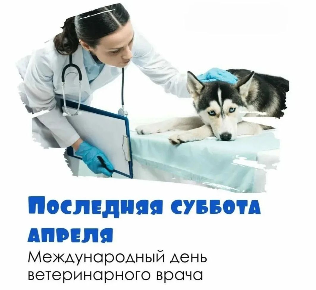 ПОСЛЕДНЯЯ СУББОТА АПРЕЛЯ Международный день ветеринарного врача