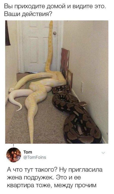 Вы приходите домой и видите это. Ваши действия? Tom @TomFoins А что тут такого? Ну пригласила жена подружек. Это и ее квартира тоже, между прочим