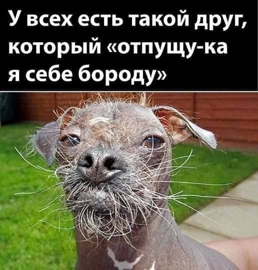 У всех есть такой друг, который «отпущу-ка я себе бороду»