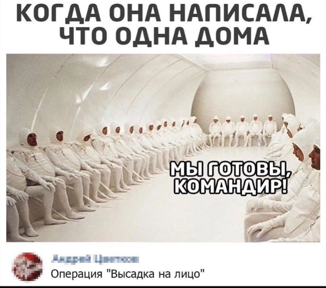 КОГДА ОНА НАПИСАЛА, ЧТО ОДНА ДОМА МЫ ГОТОВЫ, КОМАНДИР! Операция 