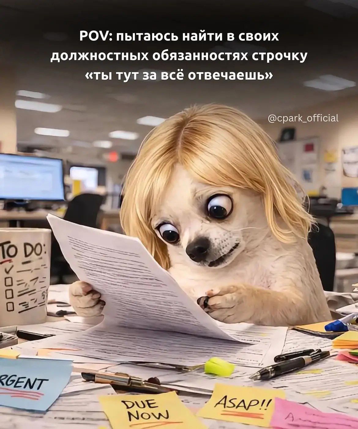 POV: пытаюсь найти в своих должностных обязанностях строчку «ты тут за всё отвечаешь»