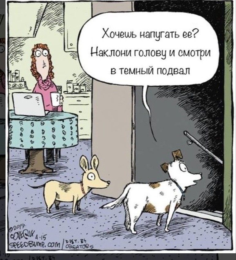 Хочешь напугать ее? Наклони голову и смотри в темный подвал