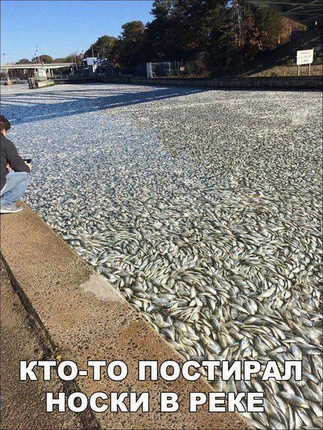 Кто-то постирал носки в реке