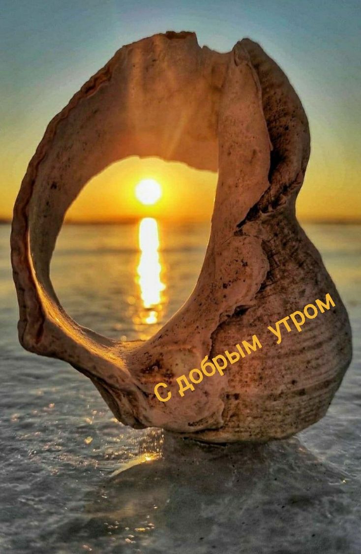 С добрым утром