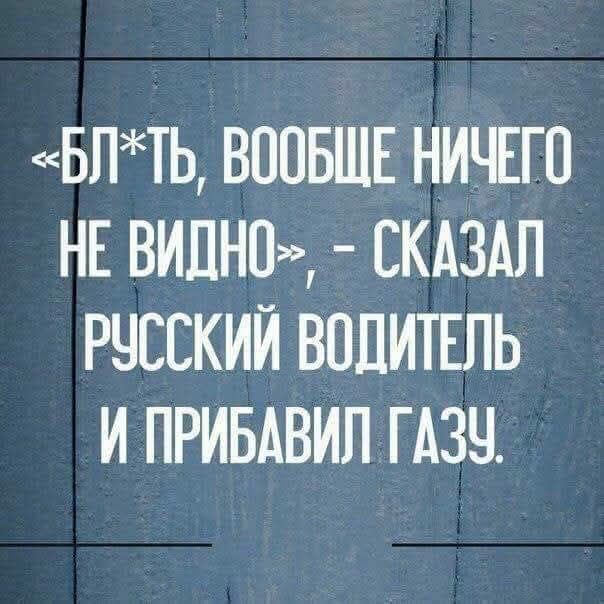 «Бл*ть, вообще ничего не видно», - сказал русский водитель и прибавил газу.