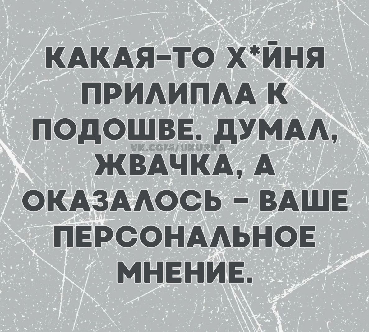 Какая-то х*йня прилипла к подошве. Думал, жвачка, а оказалось – ваше персональное мнение.