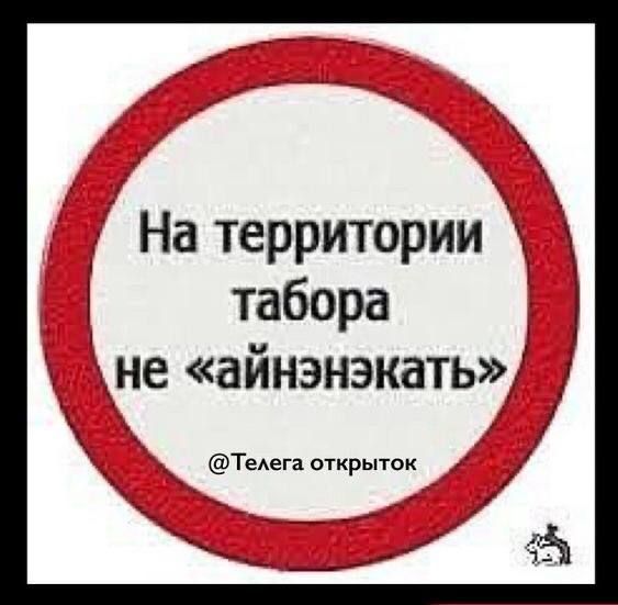 На территории табора не «айнэнэкать» @Телега открыток