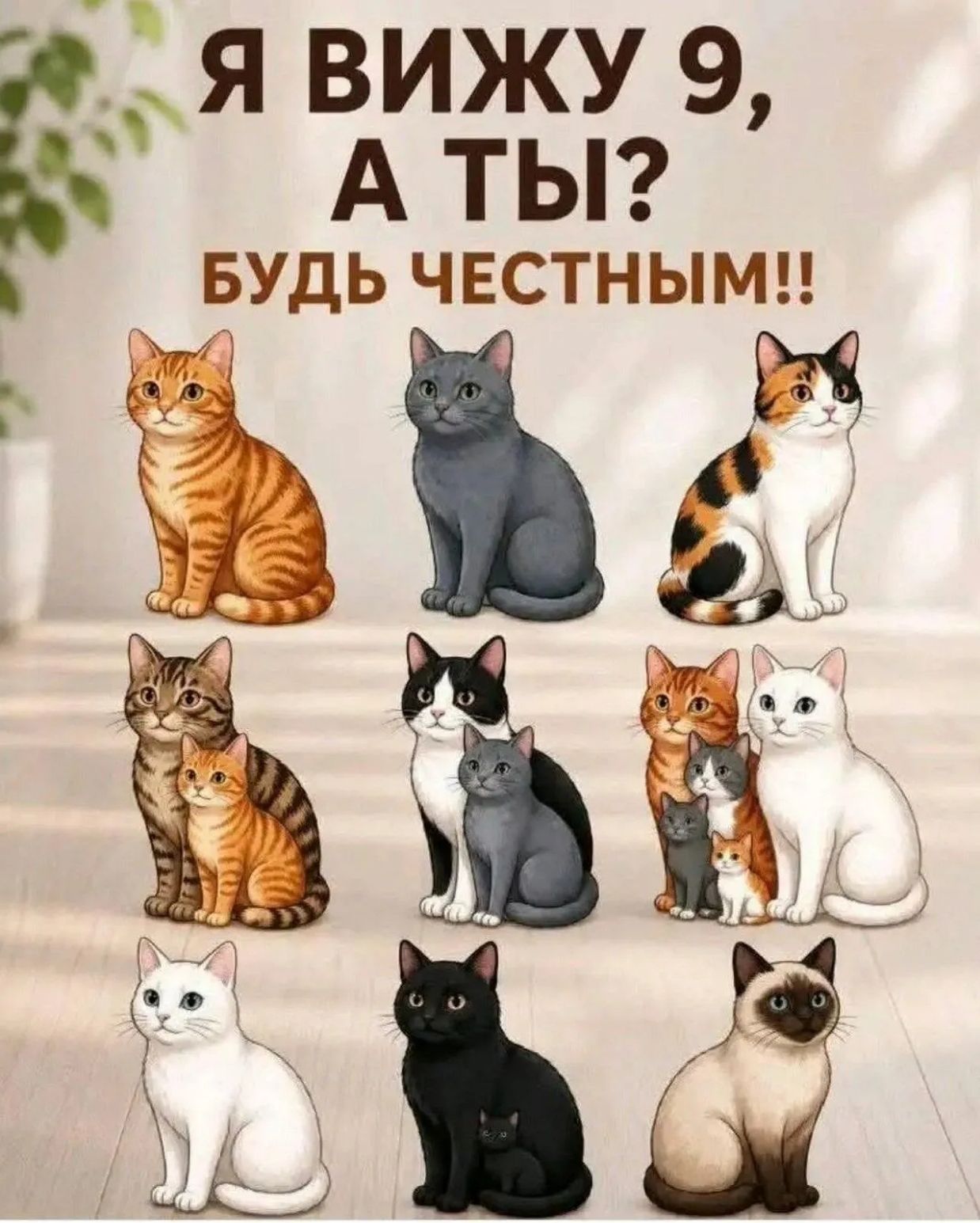 Я вижу 9, а ты? Будь честным!!