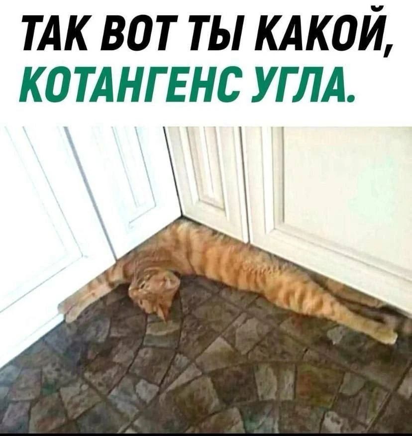 ТАК ВОТ ТЫ КАКОЙ, КОТАНГЕНС УГЛА.