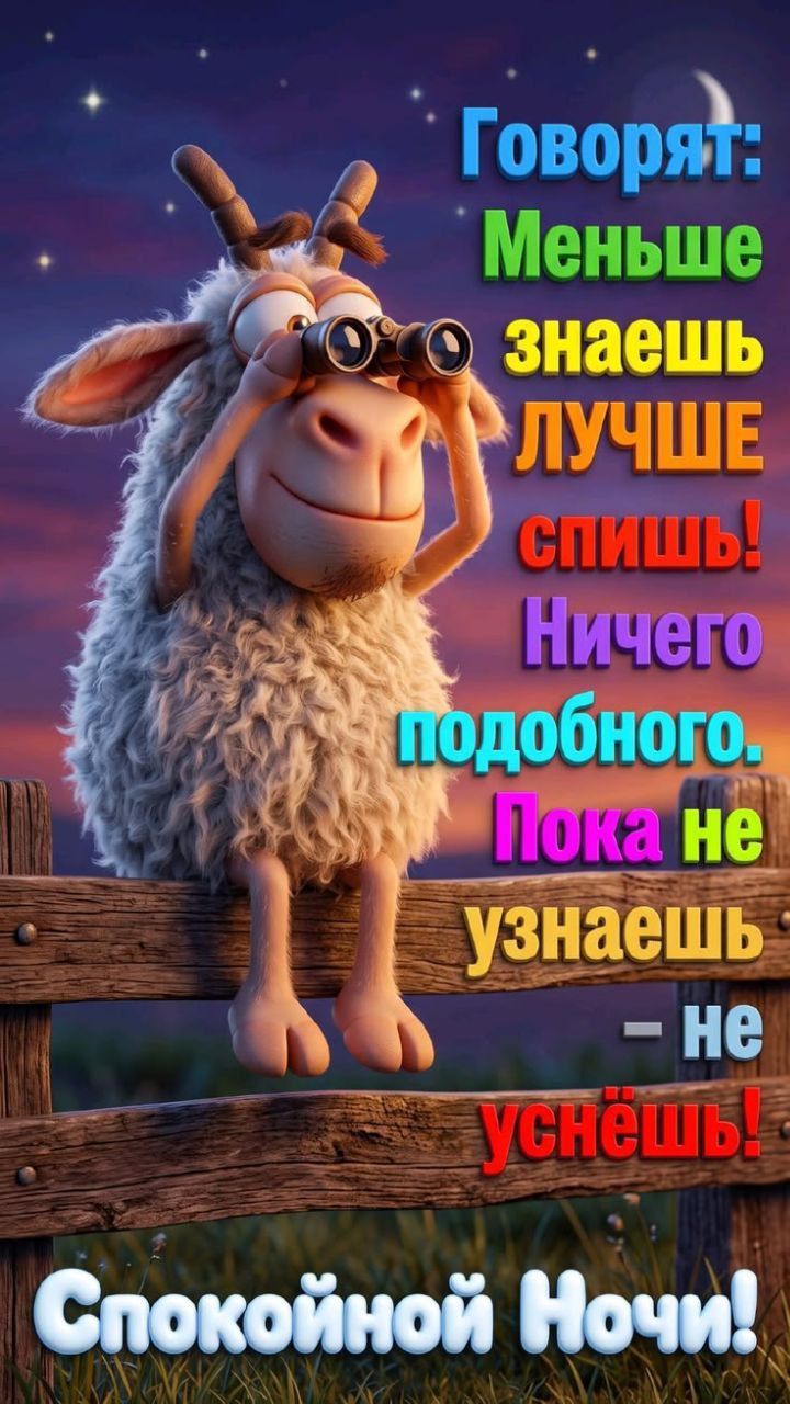 Говорят: Меньше знаешь — лучше спишь! Ничего подобного. Пока не узнаешь — не уснешь! Спокойной Ночи!