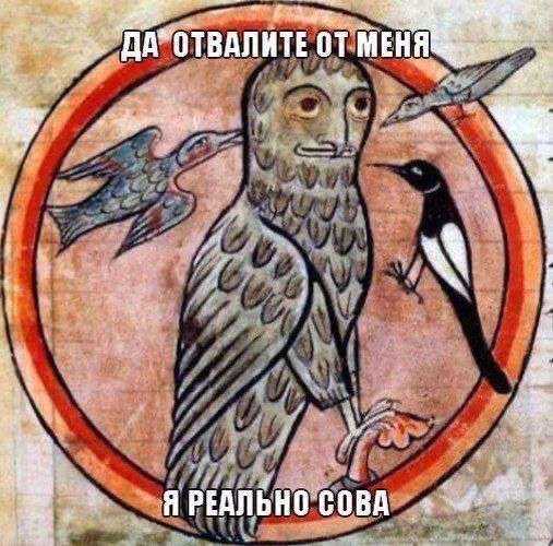 ДА ОТВАЛИТЕ ОТ МЕНЯ Я РЕАЛЬНО СОВА