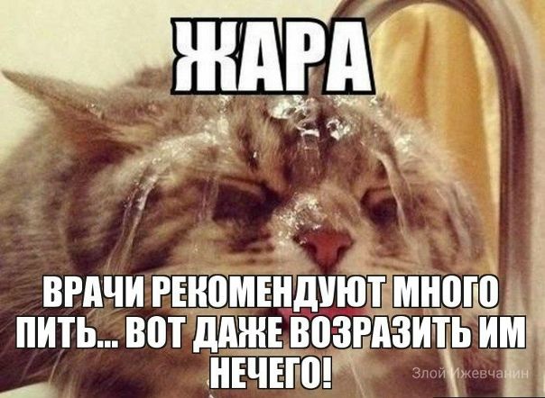 ЖАРА ВРАЧИ РЕКОМЕНДУЮТ МНОГО ПИТЬ... ВОТ ДАЖЕ ВОЗРАЗИТЬ ИМ НЕЧЕГО! Злой Ижевчанин