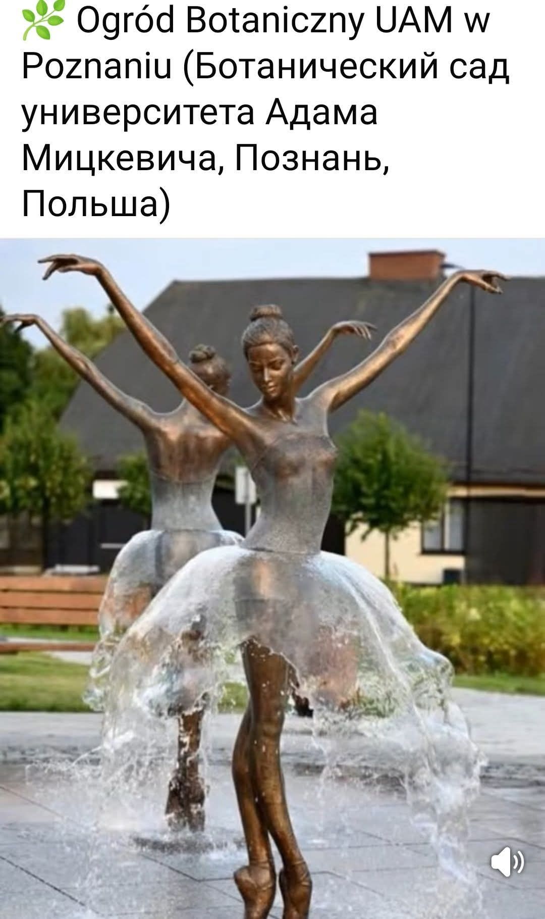 Ogród Botaniczny UAM w Poznaniu (Ботанический сад университета Адама Мицкевича, Познань, Польша)