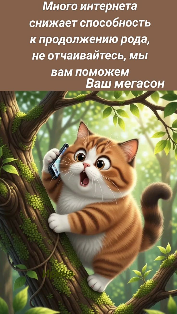 Много интернета снижает способность к продолжению рода, не отчаивайтесь, мы вам поможем Ваш мегасон