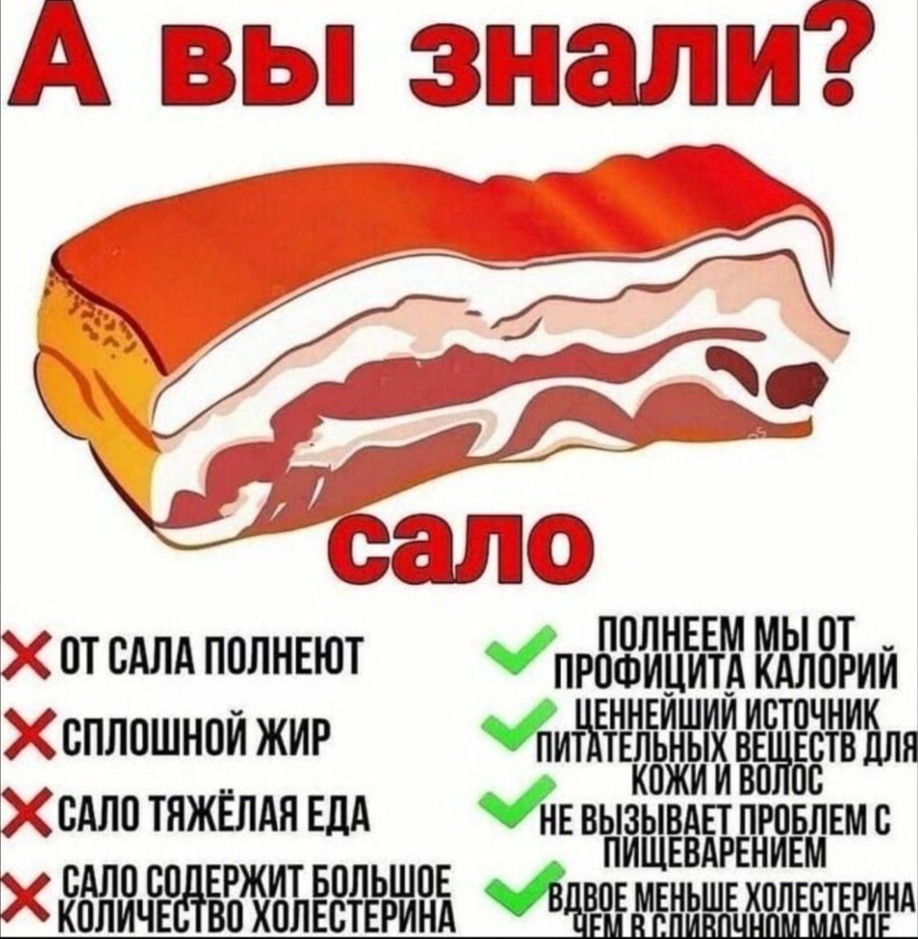 А вы знали? сало. От сала полнеют. Сплошной жир. Сало тяжелая еда. Сало содержит большое количество холестерина. Полнеем мы от профицита калорий. Ценнейший источник питательных веществ для кожи и волос. Не вызывает проблем с пищеварением. Вдвое меньше холестерина, чем в сливочном масле.