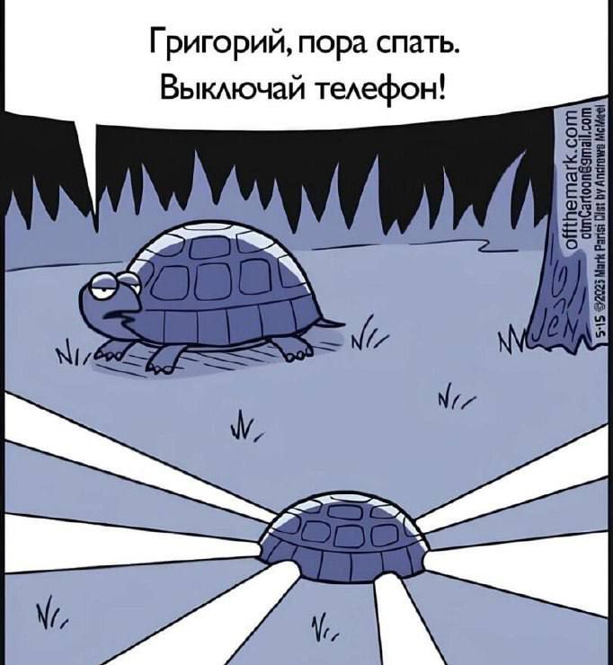 Григорий, пора спать. Выключай телефон!