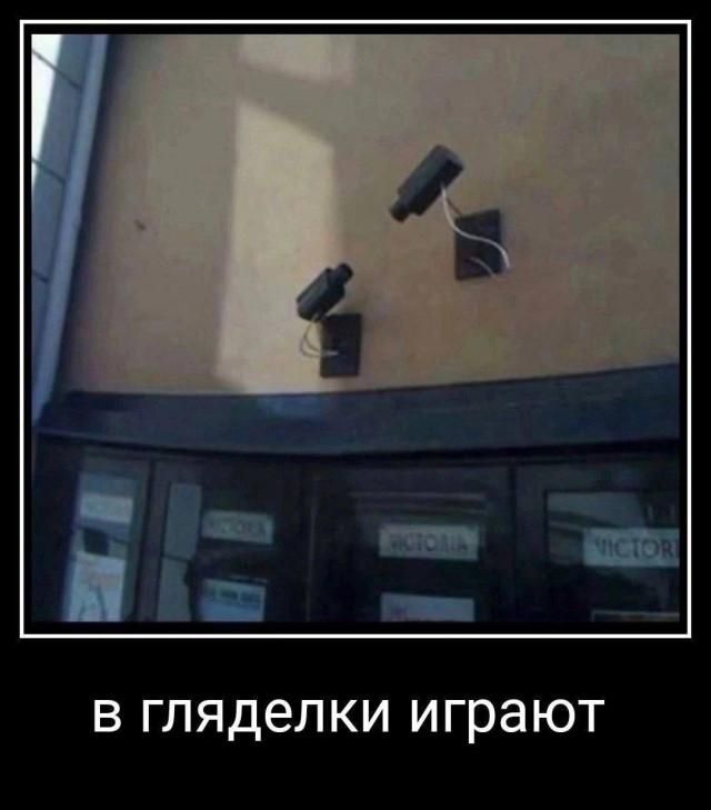 В гляделки играют