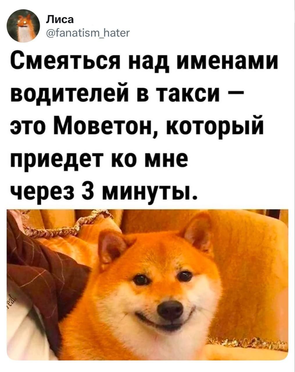 Лиса @fanatism_hater Смеяться над именами водителей в такси — это Моветон, который приедет ко мне через 3 минуты.