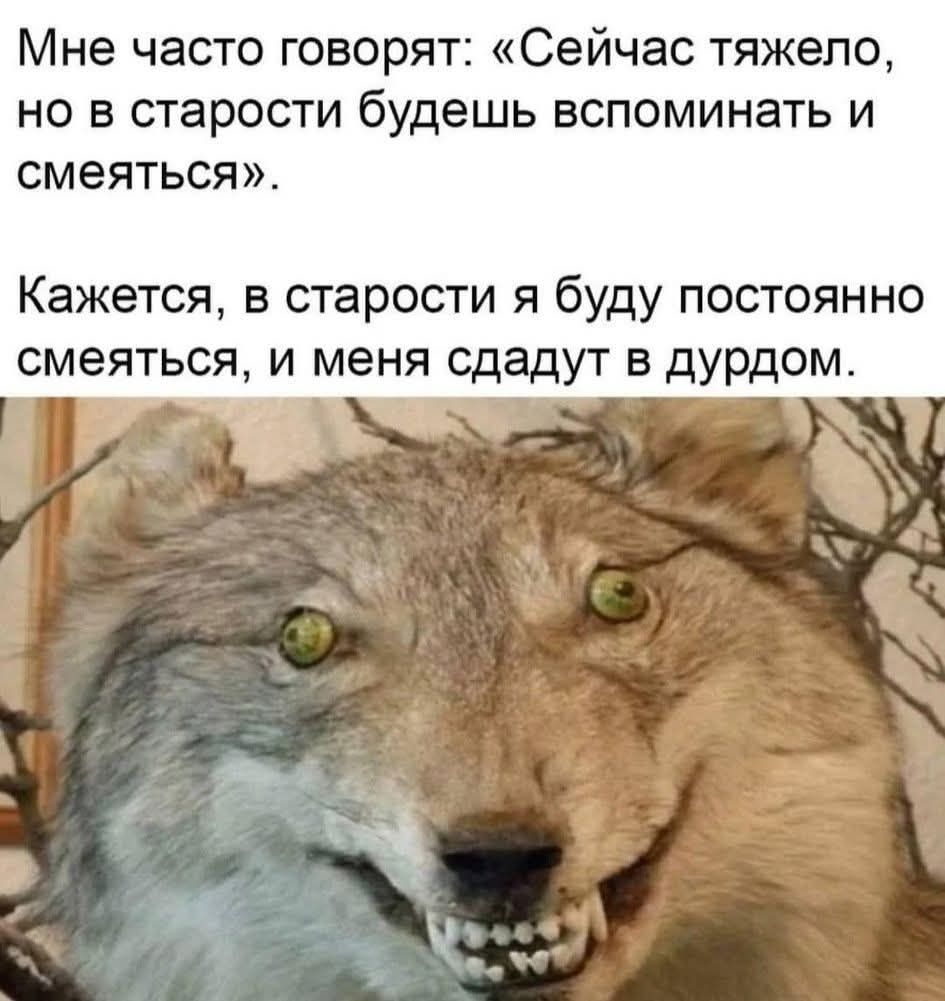 Мне часто говорят: «Сейчас тяжело, но в старости будешь вспоминать и смеяться».
Кажется, в старости я буду постоянно смеяться, и меня сдадут в дурдом.