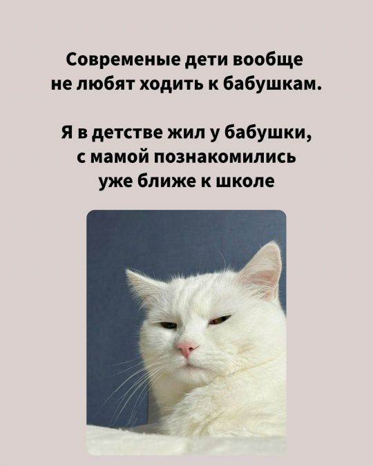 Современные дети вообще не любят ходить к бабушкам. Я в детстве жил у бабушки, с мамой познакомились уже ближе к школе