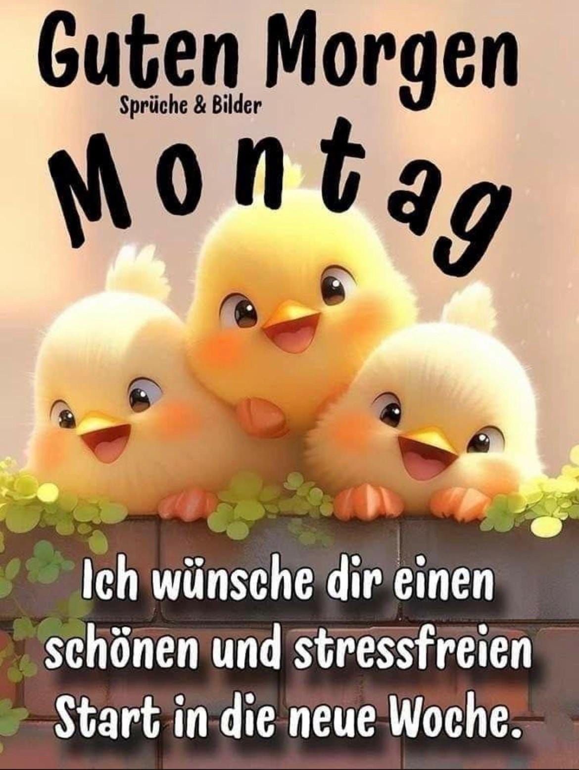 Guten Morgen Montag Sprüche & Bilder Ich wünsche dir einen schönen und stressfreien Start in die neue Woche.