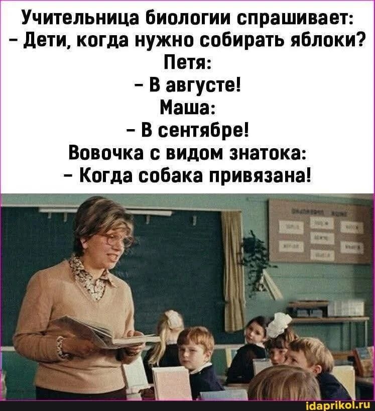 Учительница биологии спрашивает: - Дети, когда нужно собирать яблоки? Петя: - В августе! Маша: - В сентябре! Вовочка с видом знатока: - Когда собака привязана!