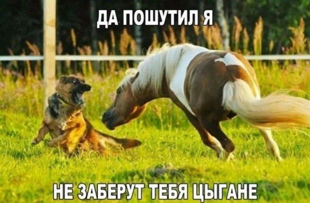 ДА ПОШУТИЛ Я НЕ ЗАБЕРУТ ТЕБЯ ЦЫГАНЕ