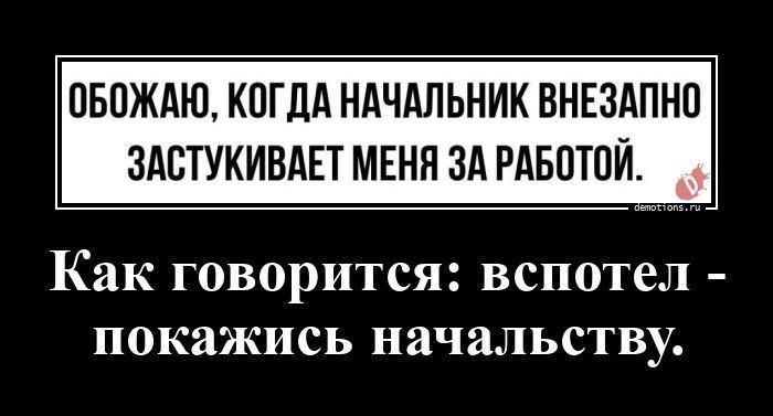 ОБОЖАЮ, КОГДА НАЧАЛЬНИК ВНЕЗАПНО ЗАСТУКИВАЕТ МЕНЯ ЗА РАБОТОЙ. Как говорится: вспотел - покажись начальству.