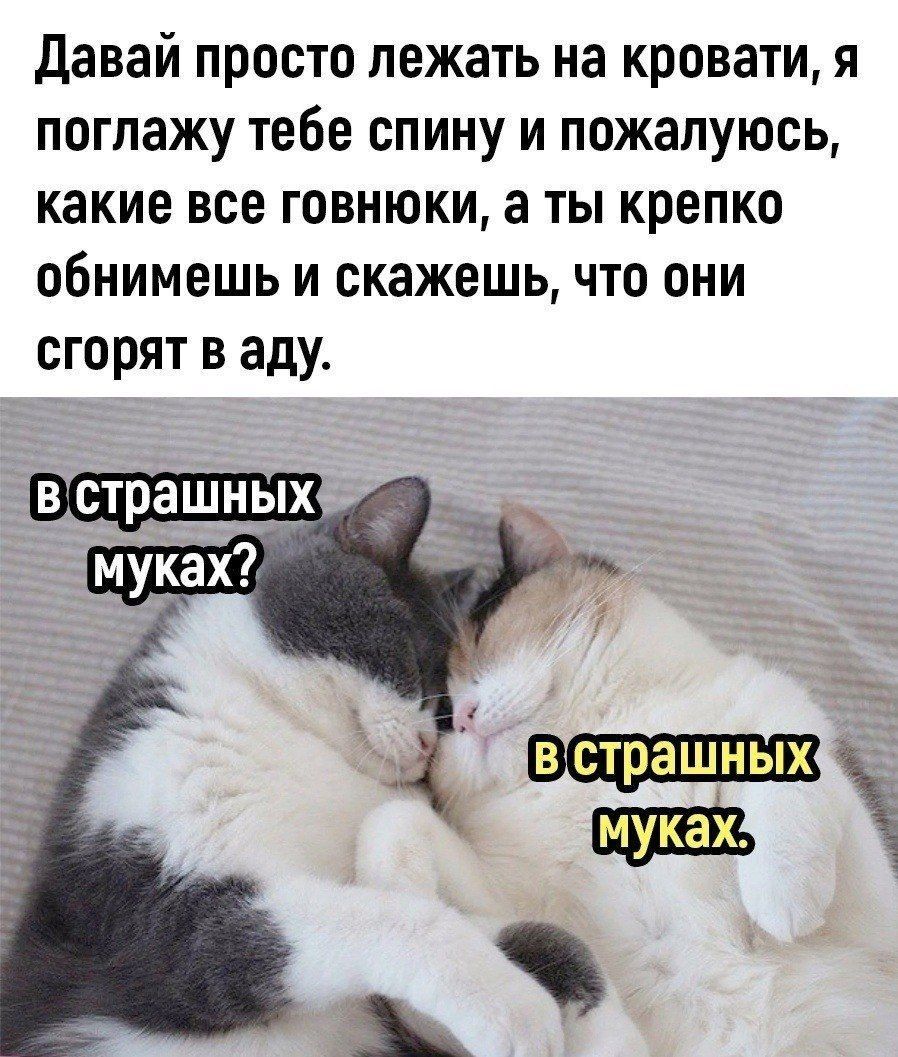 Давай просто лежать на кровати, я поглажу тебе спину и пожалуюсь, какие все говнюки, а ты крепко обнимешь и скажешь, что они сгорят в аду. В страшных муках? В страшных муках.