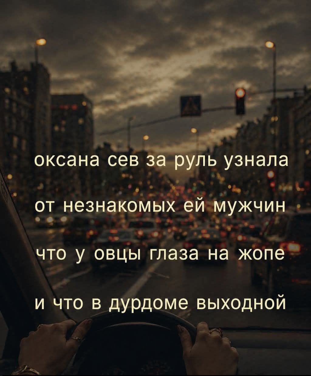 оксана сев за руль узнала от незнакомых ей мужчин что у овцы глаза на жопе и что в дурдоме выходной