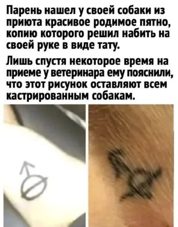 Парень нашел у своей собаки из приюта красивое родимое пятно, копию которого решил набить на своей руке в виде тату. Лишь спустя некоторое время на приеме у ветеринара ему пояснили, что этот рисунок оставляют всем кастрированным собакам.