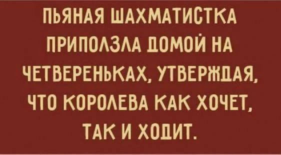 ПЬЯНАЯ ШАХМАТИСТКА ПРИПОЛЗЛА ДОМОЙ НА ЧЕТВЕРЕНЬКАХ, УТВЕРЖДАЯ, ЧТО КОРОЛЕВА КАК ХОЧЕТ, ТАК И ХОДИТ.