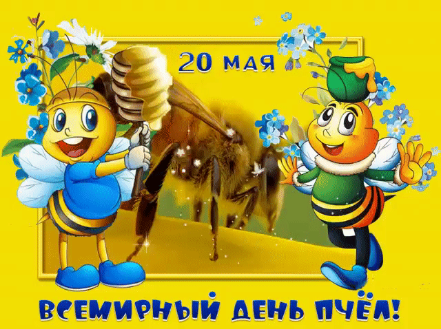 20 МАЯ ВСЕМИРНЫЙ ДЕНЬ ПЧЁЛ!