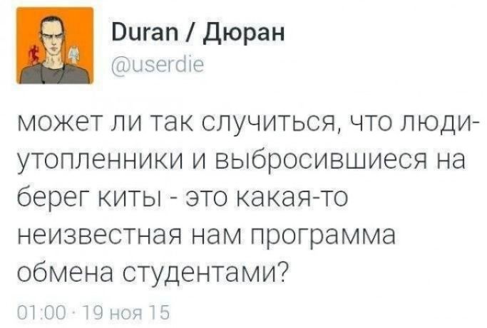 Duran / Дюран @userdie может ли так случиться, что люди-утопленники и выбросившиеся на берег киты - это какая-то неизвестная нам программа обмена студентами? 01:00 19 ноя 15