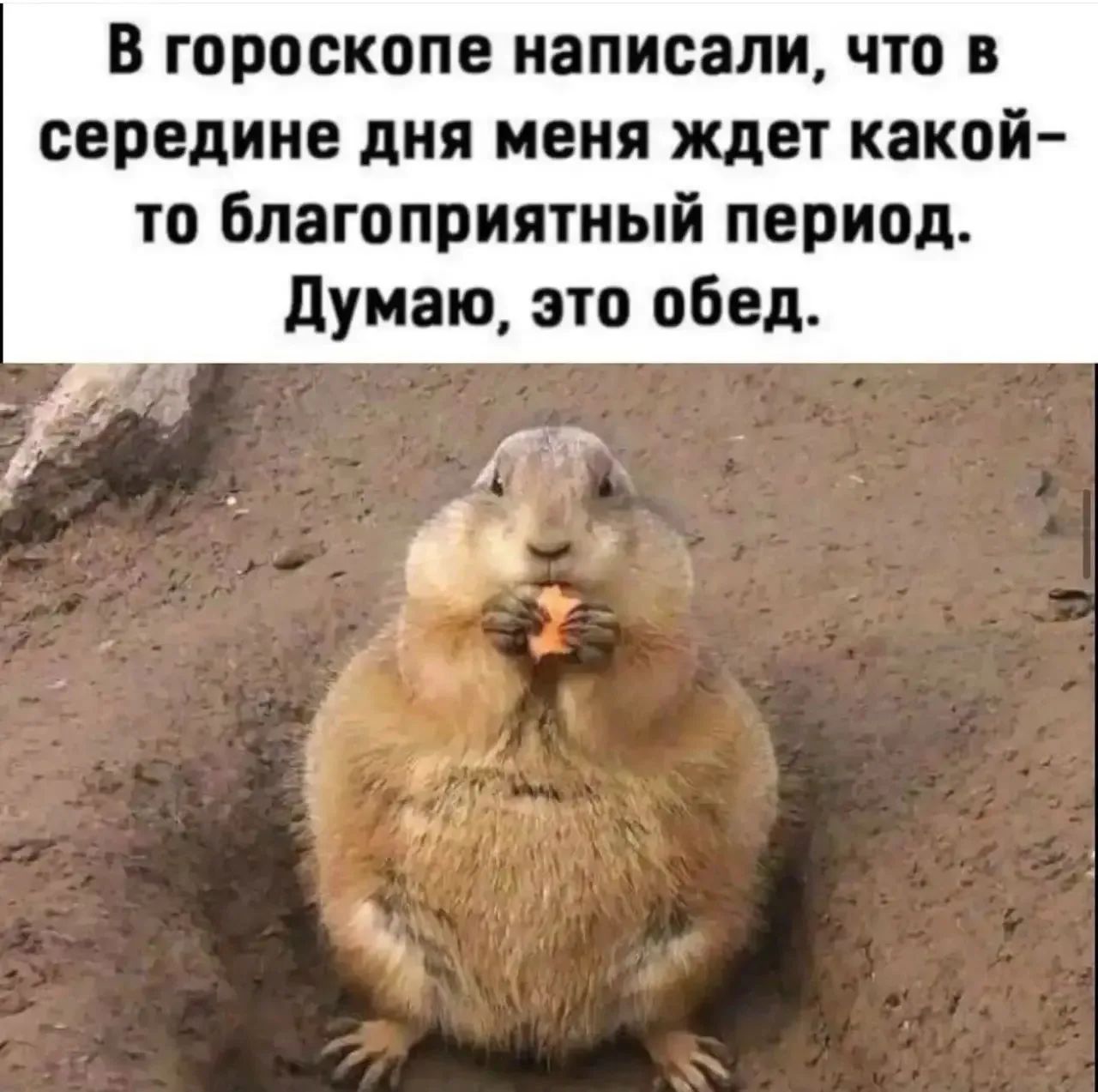 В гороскопе написали, что в середине дня меня ждет какой-то благоприятный период. Думаю, это обед.