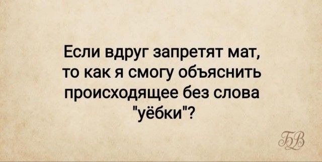 Если вдруг запретят мат, то как я смогу объяснить происходящее без слова 