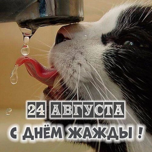 24 августа С днём жажды !