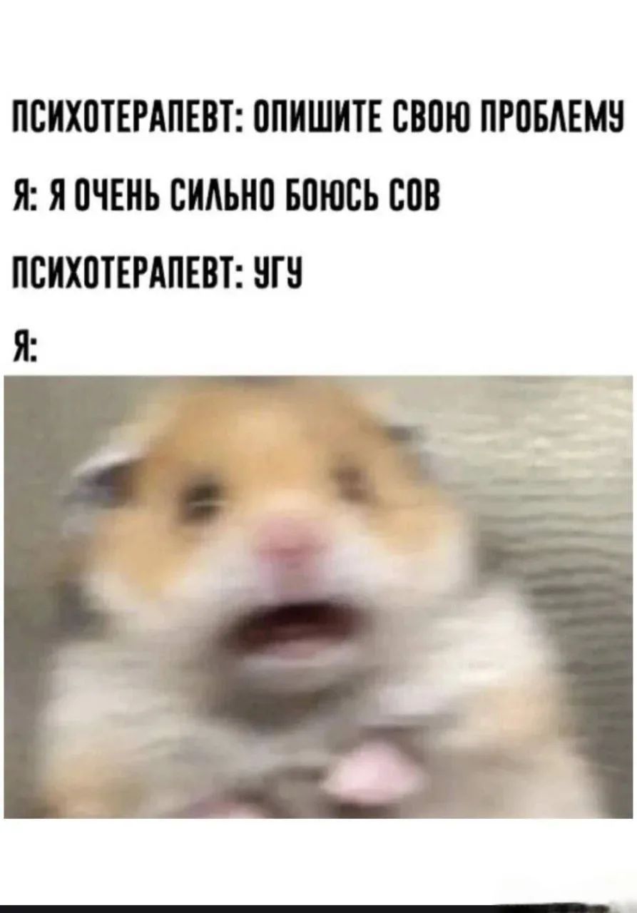 Психотерапевт: опишите свою проблему. Я: я очень сильно боюсь сов. Психотерапевт: угу. Я: (испуганный хомяк)