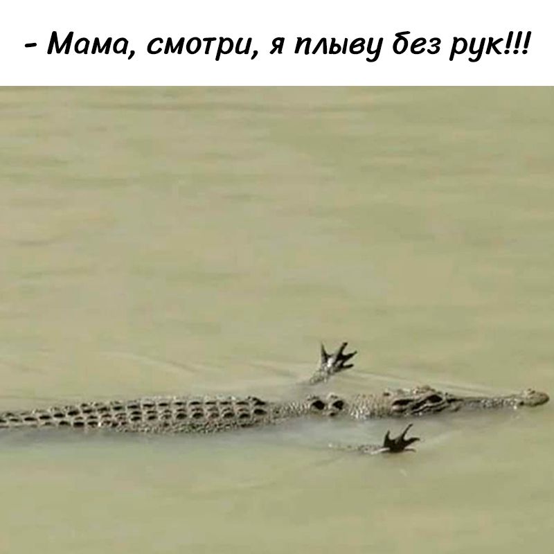 Мама, смотри, я плыву без рук!!!
