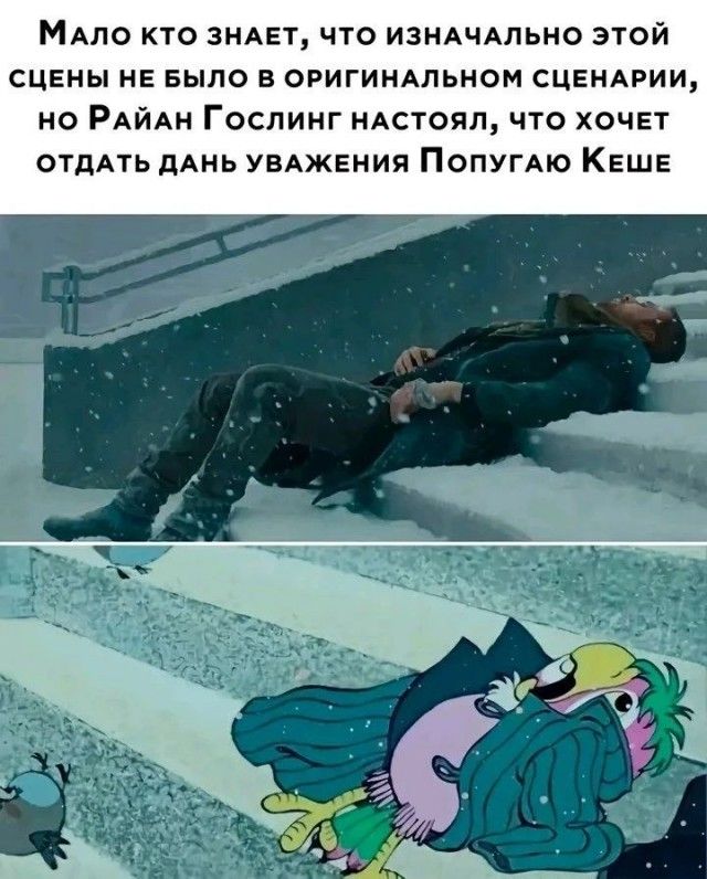 Мало кто знает, что изначально этой сцены не было в оригинальном сценарии, но Райан Гослинг настоял, что хочет отдать дань уважения Попугаю Кеше